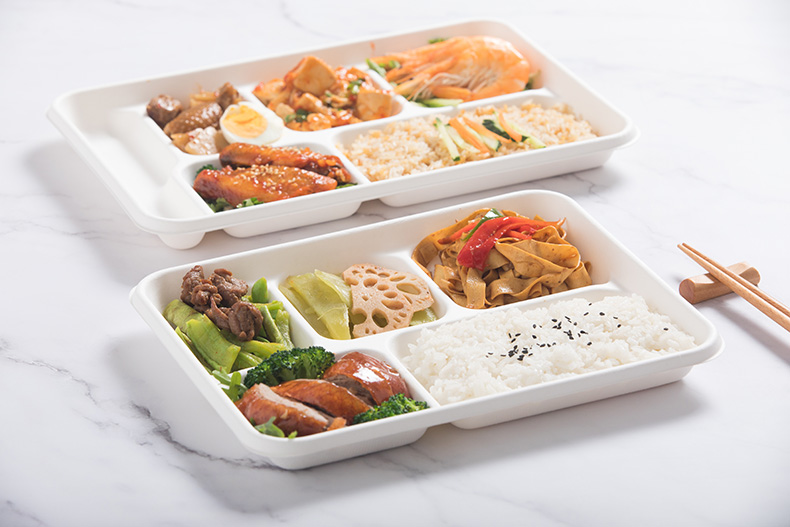 Sugarcane Fiber Compostable Compartment Trays